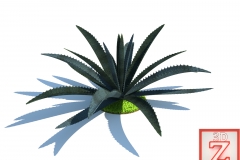 Agave gigantensis_Logo
