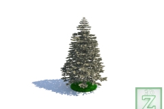 Igne-Yaprak-Agac_Pinaceae_01_Logo